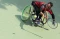 ASEAN Para Games 2022...