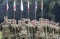 13 Negara Ikuti Latihan...