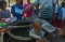 Momen Ritual Sambut...
