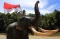 Pengibaran Bendera Merah...
