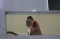 Pemeriksaan Perdana...