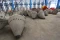 Target Produksi Beton...
