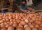 Harga Telur di Banten...