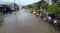 Banjir Masih Rendam...
