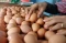 Harga Telur Ayam Masih...