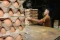 Harga Telur Ayam Masih...
