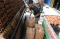 Harga Telur Ayam Masih...