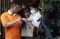 Intip Gaya Putri Candrawathi...