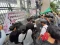 Gelar Unjuk Rasa di...