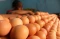BBM Naik, Harga Telur...