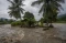 Banjir Rendam Puluhan...