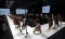 Lenggak-Lenggok Runway...