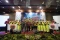 Aksi Emergency Respons...