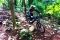 Ratusan Pesepeda MTB...