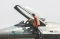 Melihat Persiapan Flypast...