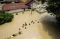 Terdampak Bencana Banjir...
