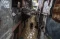 Banjir Rendam 53 RT...