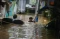 Banjir Setinggi 2 Meter...