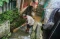 Banjir di Taman Harapan...