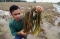 Petani Gagal Panen Usai...