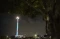 Monas Week 2022 Kembali...