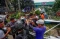 Pohon Tumbang Timpa...