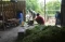 Biogas Menerangi Kampung...