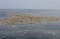Sampah Laut Cemari Dermaga...