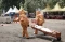 Emergency Response Team...