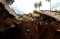 Sepekan Gempa Bumi Cianjur,...