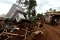 Sepekan Gempa Bumi Cianjur,...