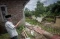 Puluhan Rumah Rusak...