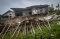 Puluhan Rumah Rusak...