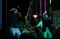 Maliq & D’Essentials...