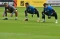 Begini Persiapan Terakhir...