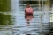 Banjir Rendam 3.046...
