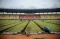 Renovasi Stadion Si...