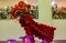 Atraksi Barongsai Meriahkan...