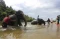 Wisata Gajah Jinak Sumatera...
