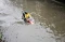 Banjir Rendam Permukiman...