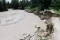 598 Rumah Terendam Banjir...