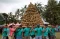 Festival Durian Sumberasri...