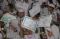 2.300 Anak Paud dan...