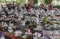 2.300 Anak Paud dan...