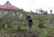 Potret Petani Milenial,...