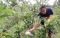 Potret Petani Milenial,...