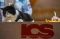 Aksi Kucing Nusantara...