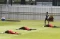 Timnas Indonesia U-20...