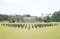 Pangkostrad Pimpin Rapim...