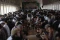 Begini Suasana Buka...